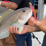 whitefish caught on 45acp jig head fishing armory bullet lure