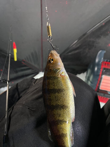 bentley ice fishing lures Ice Fishing Bullet Lure