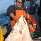 Captain Steve caught this huge halibut on the Fishing Armory 50 caliber Bullet Lure