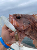 Brown Rockfish caught on the swinging head bullet jig