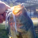largemouth bass caught on fishing armory bullet lure