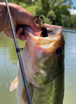 largemouth bass caught on fishing armory fishing bullet lure