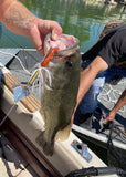 Big Bass on buller lure by Fishing Armory